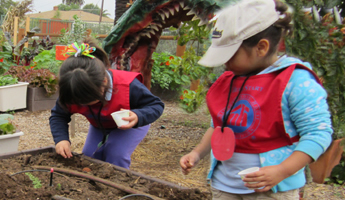 Garden Explorers: Petal Power